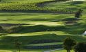 Northern California Golf Tournament: A Huge Return!